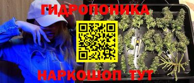 jwh Краснознаменск